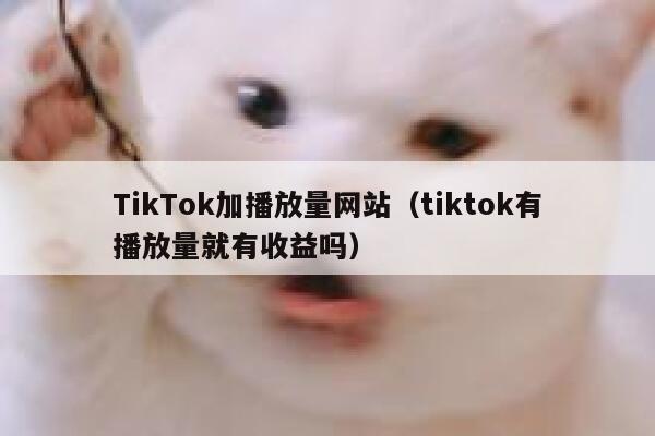 TikTok加播放量网站（tiktok有播放量就有收益吗） 第1张