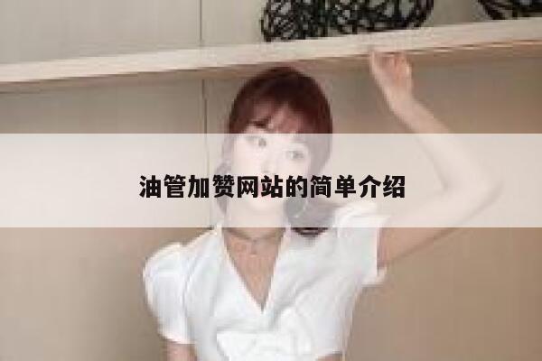 油管加赞网站的简单介绍 第1张