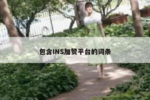 包含INS加赞平台的词条 第1张