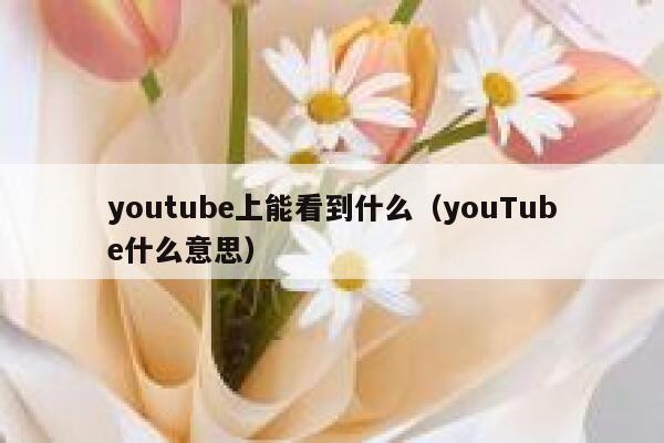 youtube上能看到什么（youTube什么意思） 第1张