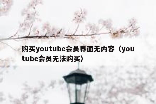 购买youtube会员界面无内容（youtube会员无法购买） 第1张