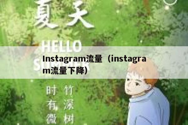 Instagram流量（instagram流量下降） 第1张