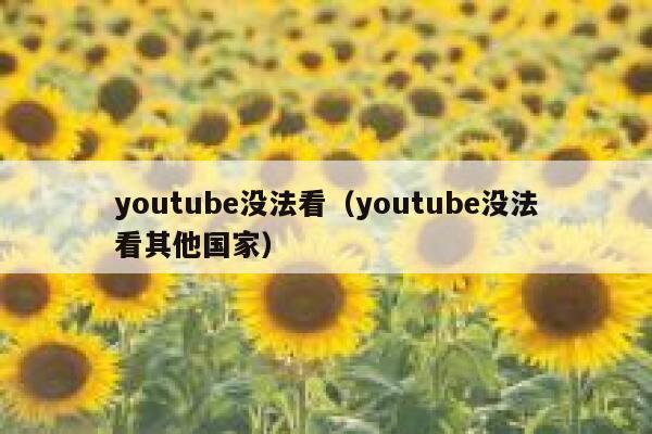 youtube没法看（youtube没法看其他国家） 第1张