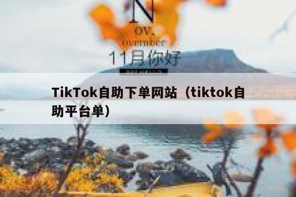 TikTok自助下单网站（tiktok自助平台单） 第1张