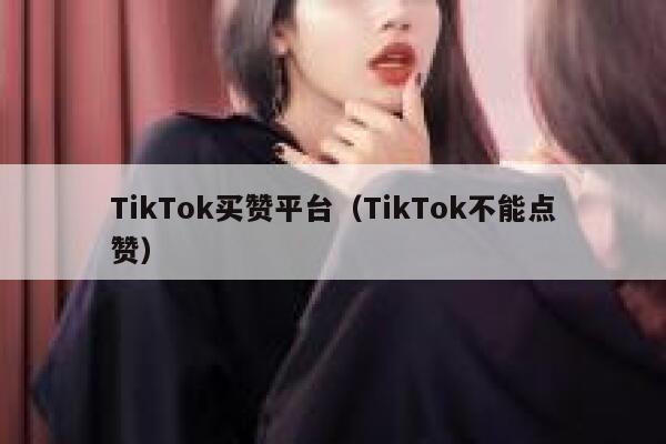 TikTok买赞平台（TikTok不能点赞） 第1张