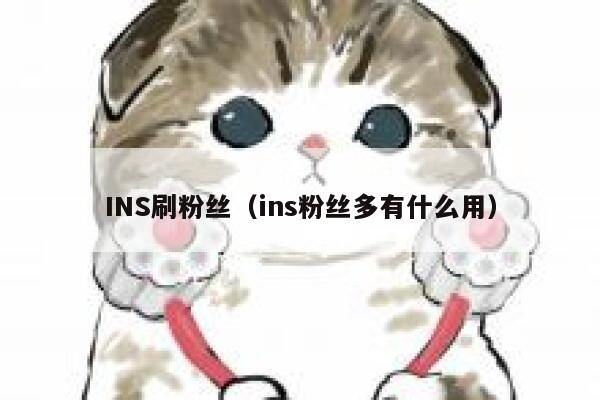 INS刷粉丝（ins粉丝多有什么用） 第1张