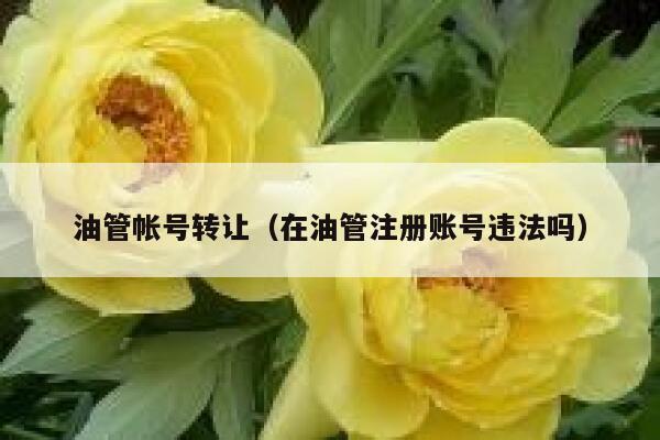 油管帐号转让（在油管注册账号违法吗） 第1张