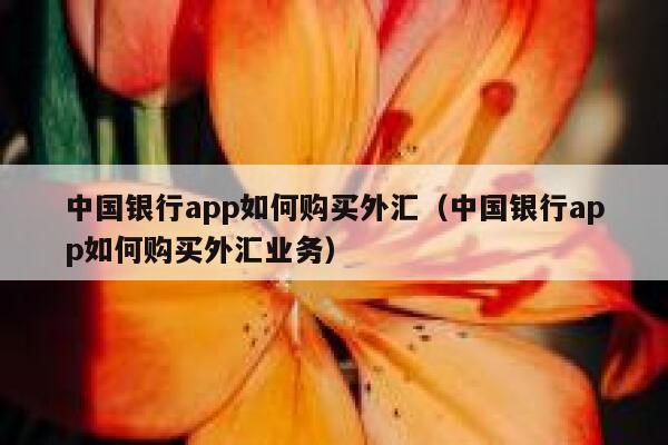 中国银行app如何购买外汇（中国银行app如何购买外汇业务） 第1张