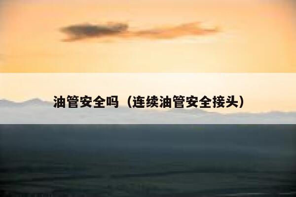 油管安全吗（连续油管安全接头） 第1张
