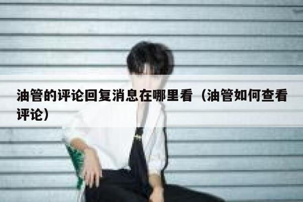 油管的评论回复消息在哪里看（油管如何查看评论） 第1张