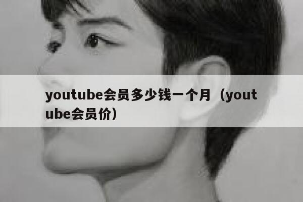 youtube会员多少钱一个月（youtube会员价） 第1张
