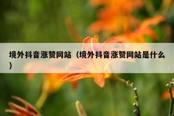 境外抖音涨赞网站（境外抖音涨赞网站是什么） 第1张