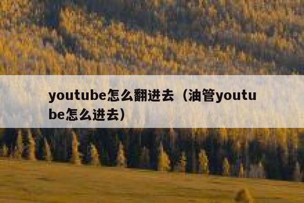 youtube怎么翻进去（油管youtube怎么进去） 第1张