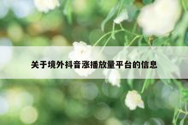 关于境外抖音涨播放量平台的信息 第1张