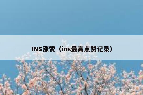 INS涨赞（ins最高点赞记录） 第1张