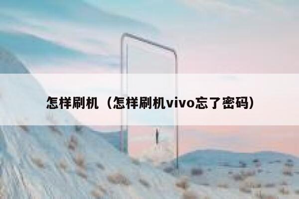 怎样刷机（怎样刷机vivo忘了密码） 第1张