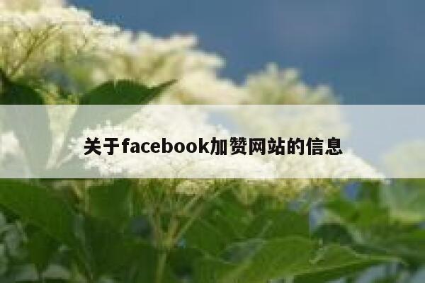 关于facebook加赞网站的信息 第1张