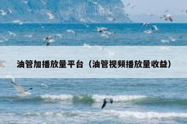 油管加播放量平台（油管视频播放量收益） 第1张