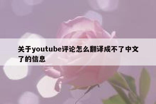 关于youtube评论怎么翻译成不了中文了的信息 第1张