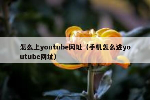 怎么上youtube网址(手机怎么进youtube网址) 第1张 怎么上youtube网址(手机怎么进youtube网址) 第1张