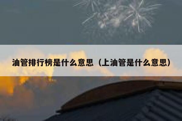 油管排行榜是什么意思（上油管是什么意思） 第1张