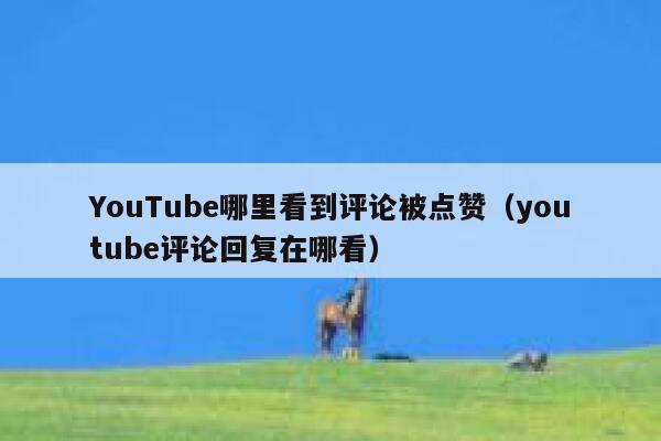 YouTube哪里看到评论被点赞（youtube评论回复在哪看） 第1张