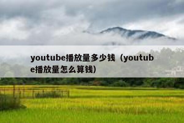 youtube播放量多少钱（youtube播放量怎么算钱） 第1张