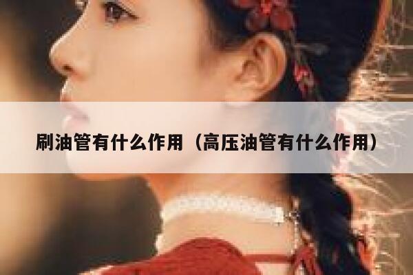 刷油管有什么作用（高压油管有什么作用） 第1张