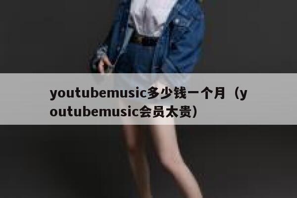 youtubemusic多少钱一个月（youtubemusic会员太贵） 第1张