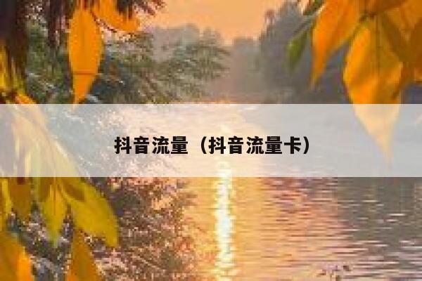 抖音流量（抖音流量卡） 第1张