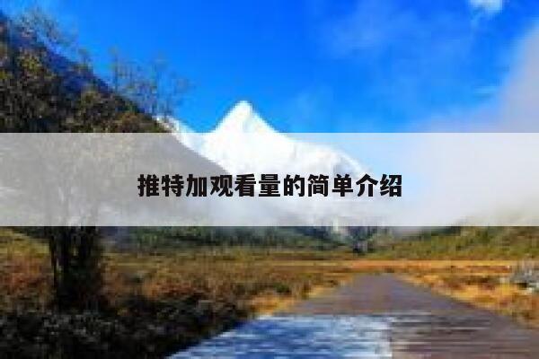 推特加观看量的简单介绍 第1张