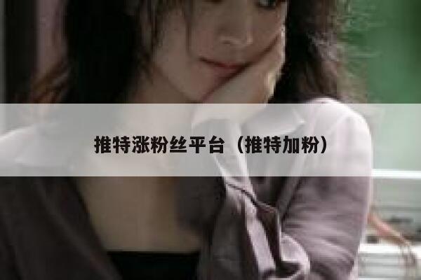 推特涨粉丝平台(推特加粉) 第1张 推特涨粉丝平台(推特加粉) 第1张