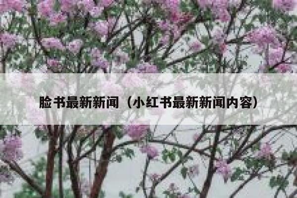 脸书最新新闻（小红书最新新闻内容） 第1张