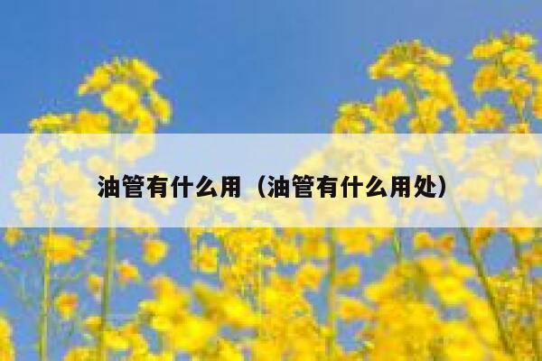 油管有什么用（油管有什么用处） 第1张