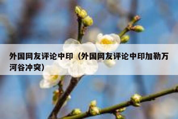外国网友评论中印（外国网友评论中印加勒万河谷冲突） 第1张