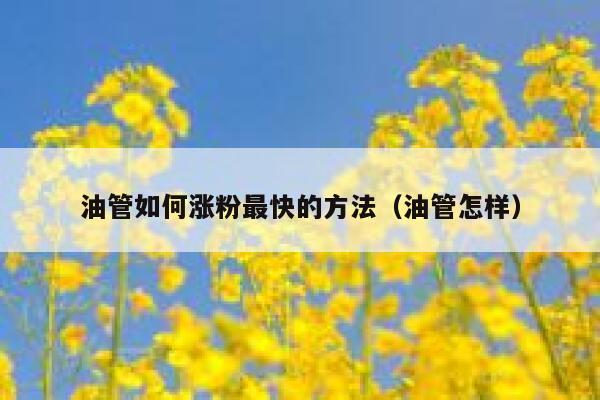 油管如何涨粉最快的方法（油管怎样） 第1张