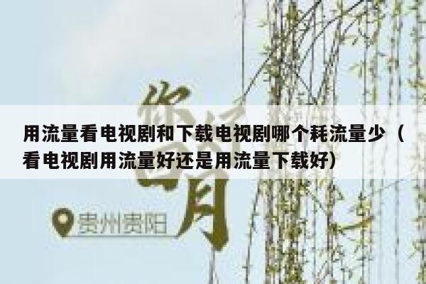 用流量看电视剧和下载电视剧哪个耗流量少（看电视剧用流量好还是用流量下载好） 第1张