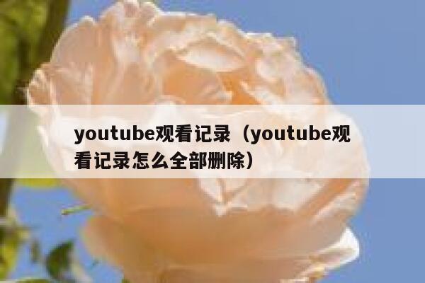 youtube观看记录（youtube观看记录怎么全部删除） 第1张