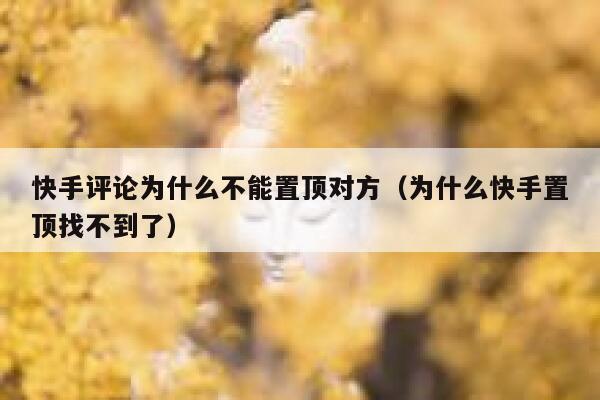 快手评论为什么不能置顶对方（为什么快手置顶找不到了） 第1张