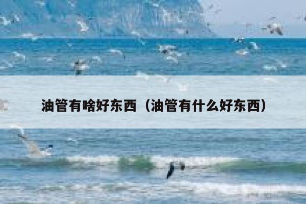 油管有啥好东西（油管有什么好东西） 第1张