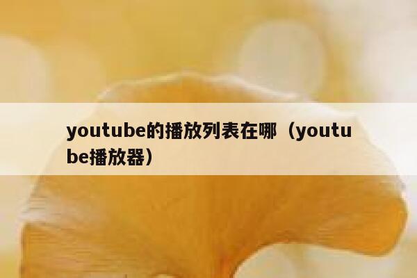 youtube的播放列表在哪（youtube播放器） 第1张