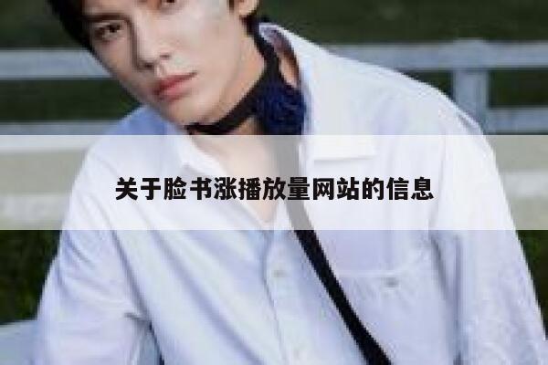 关于脸书涨播放量网站的信息 第1张
