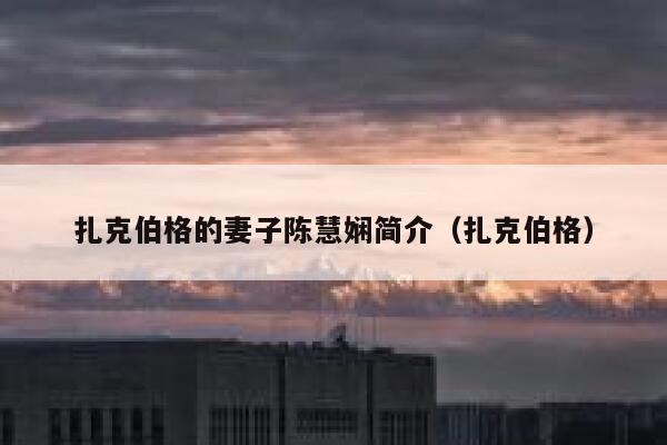 扎克伯格的妻子陈慧娴简介（扎克伯格） 第1张