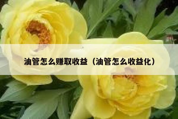 油管怎么赚取收益（油管怎么收益化） 第1张