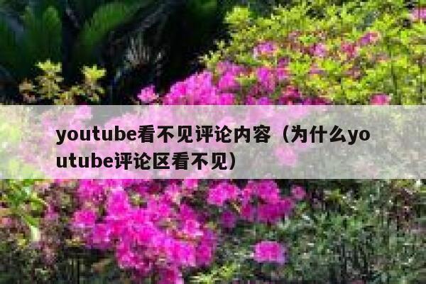 youtube看不见评论内容（为什么youtube评论区看不见） 第1张