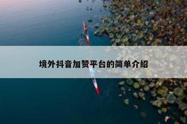 境外抖音加赞平台的简单介绍 第1张