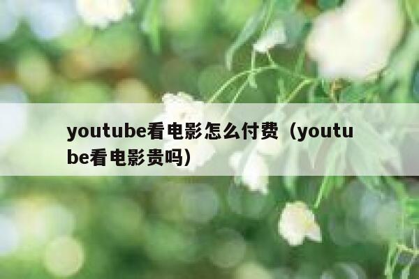 youtube看电影怎么付费（youtube看电影贵吗） 第1张