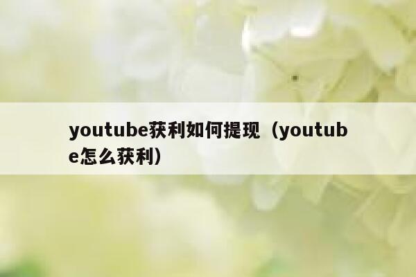 youtube获利如何提现（youtube怎么获利） 第1张