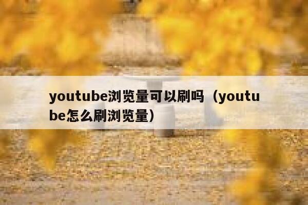 youtube浏览量可以刷吗（youtube怎么刷浏览量） 第1张