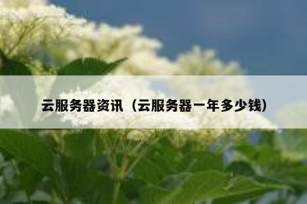 云服务器资讯（云服务器一年多少钱） 第1张
